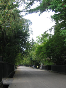 Uchimachi dori, la rue des maisons de samourai.