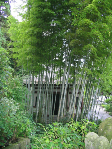 Maison de th du temple Hase Dera.