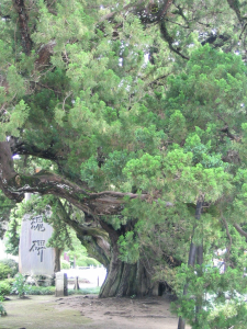 Jolie pierre du temple Meigetsu ji.