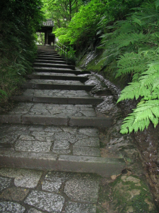 Magnifique escalier du temple Zuisen ji.